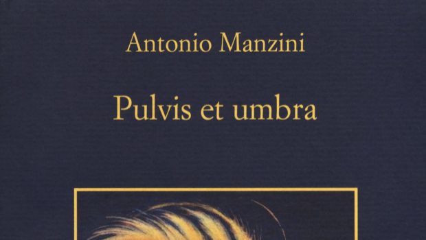 Pulvis et umbra di Antonio Manzini