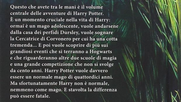 harry potter e il calice di fuoco retro