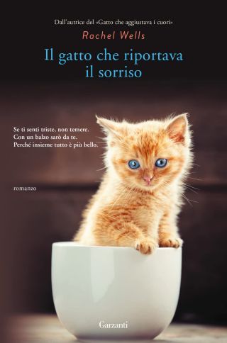 il gatto che riportava il sorriso pdf copertina