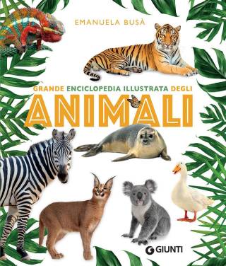 grande enciclopedia illustrata degli animali pdf copertina