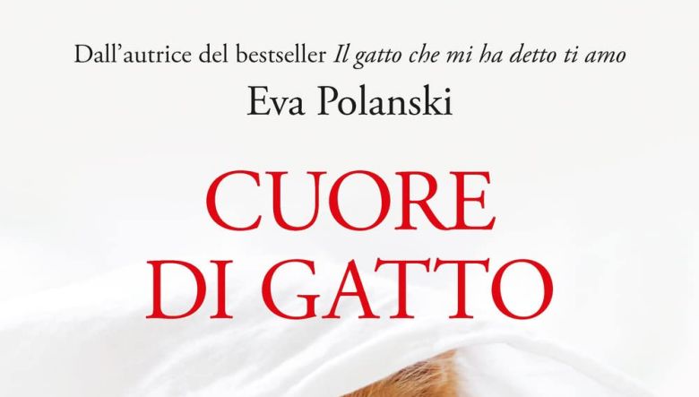 cuore di gatto pdf