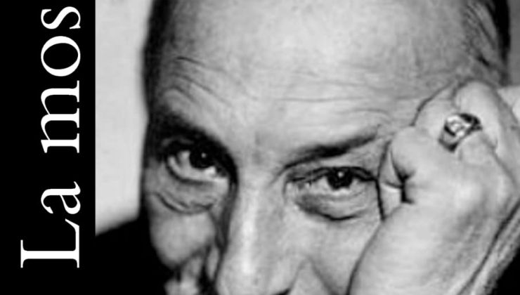 La mosca di Luigi Pirandello